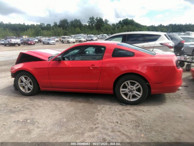 1ZVBP8AM2E5323896 Ford Mustang V6