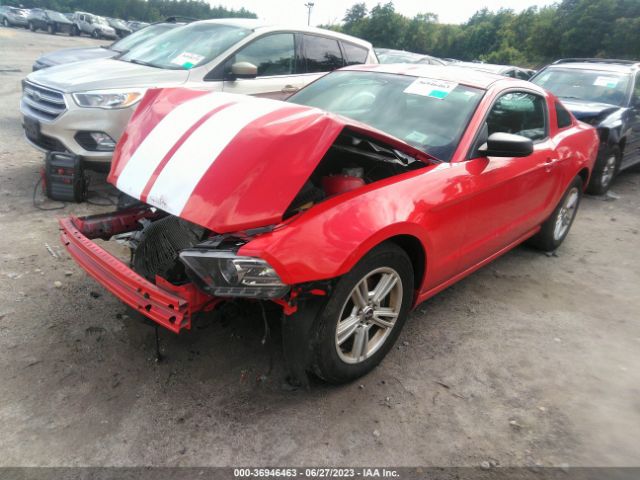 1ZVBP8AM2E5323896 Ford Mustang V6