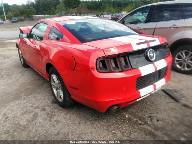 1ZVBP8AM2E5323896 Ford Mustang V6