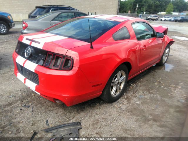 1ZVBP8AM2E5323896 Ford Mustang V6