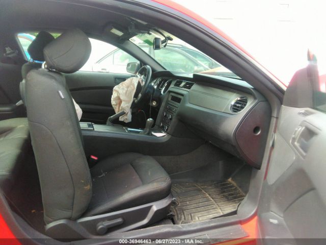 1ZVBP8AM2E5323896 Ford Mustang V6