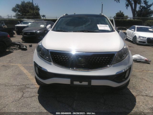KNDPC3AC6E7631303 KIA Sportage Ex