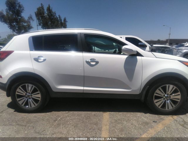 KNDPC3AC6E7631303 KIA Sportage Ex