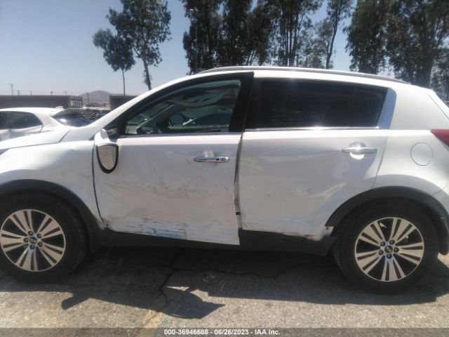 KNDPC3AC6E7631303 KIA Sportage Ex