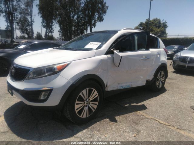 KNDPC3AC6E7631303 KIA Sportage Ex