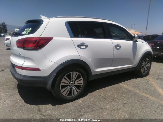 KNDPC3AC6E7631303 KIA Sportage Ex