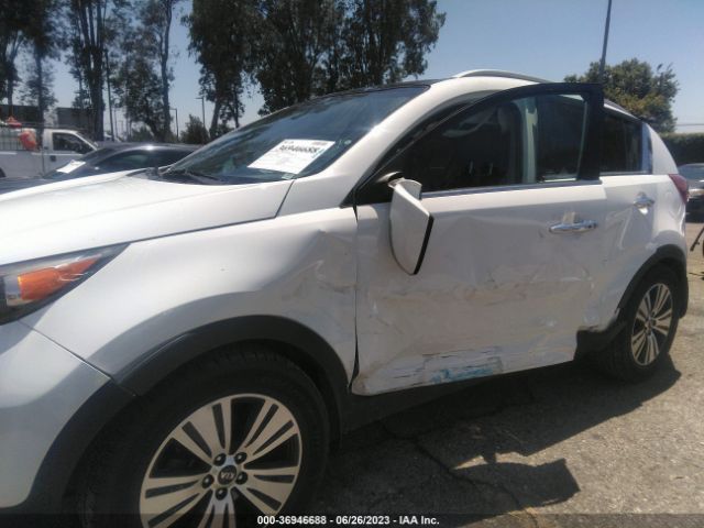 KNDPC3AC6E7631303 KIA Sportage Ex