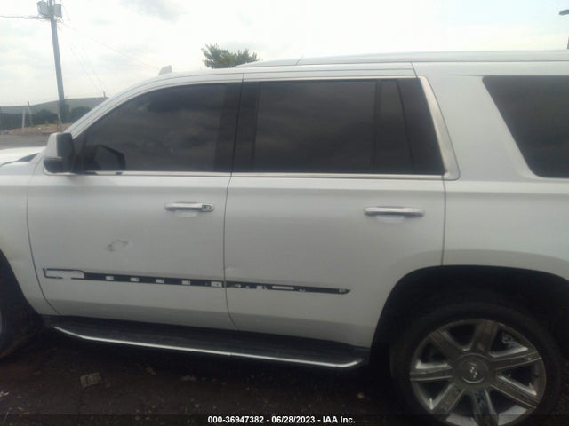 Cadillac Escalade Luxury Collection 2016 1GYS4BKJ9GR311053 Image 14