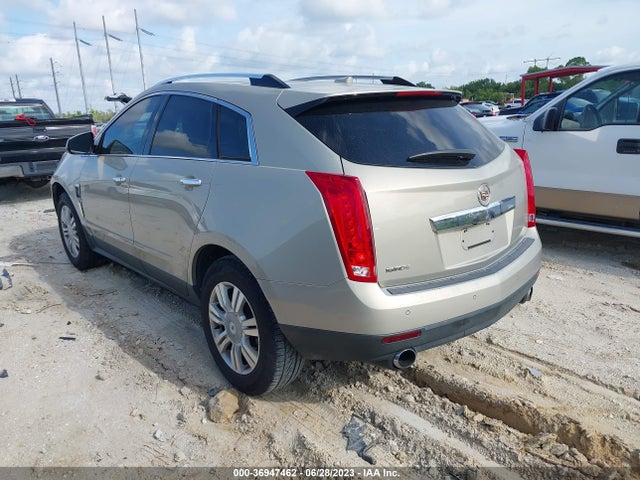 2010 CADILLAC SRX LUXURY COLLECTION VIN: 3GYFNAEY8AS504137