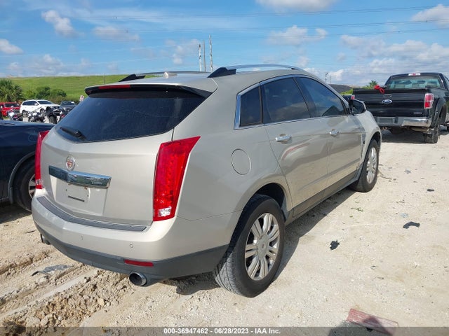2010 CADILLAC SRX LUXURY COLLECTION VIN: 3GYFNAEY8AS504137
