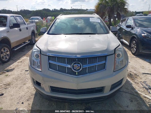 2010 CADILLAC SRX LUXURY COLLECTION VIN: 3GYFNAEY8AS504137