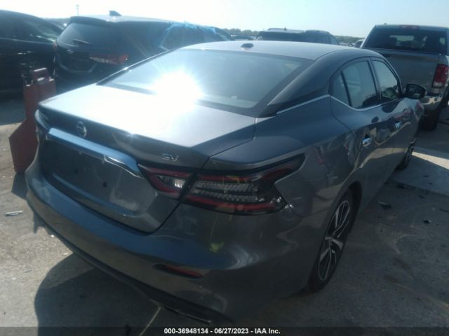 1N4AA6CV4MC511345 Nissan MAXIMA SV