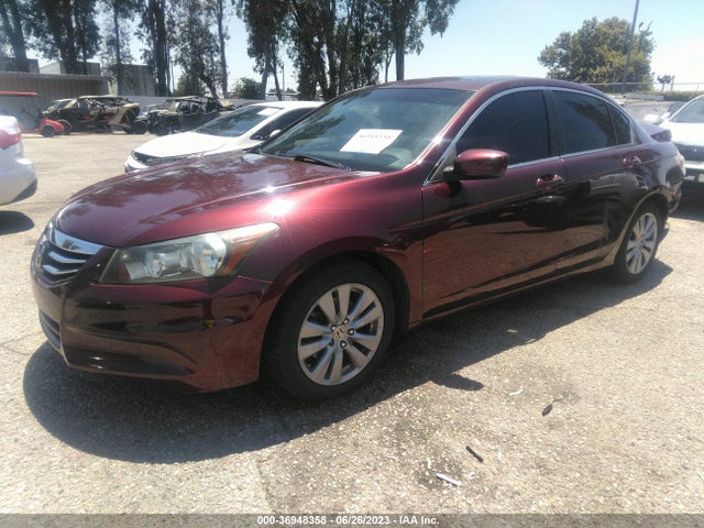 2011 HONDA ACCORD SDN EX-L VIN: 1HGCP2F82BA080000