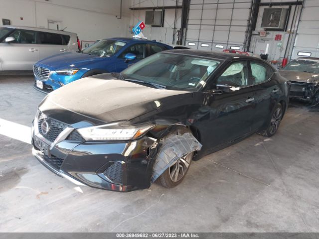 1N4AA6DV5LC373778 Nissan MAXIMA SL