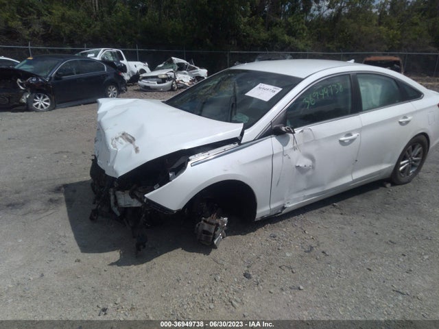 Hyundai SONATA SE 2017 5NPE24AF5HH556541 Image 2