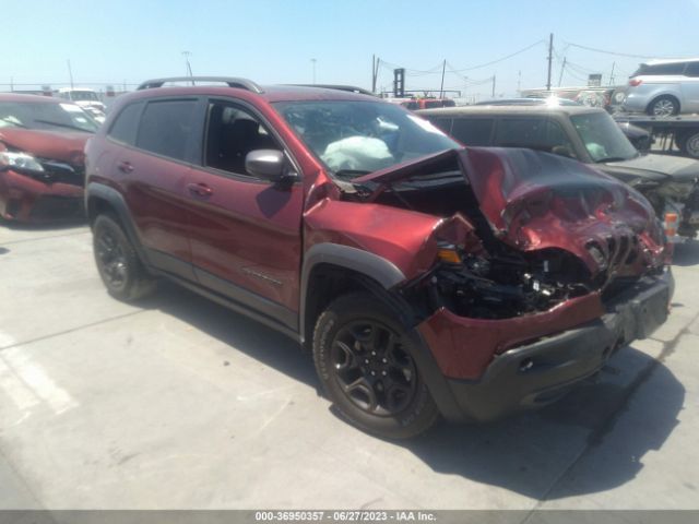 1C4PJMBX8MD204962 auction archive image