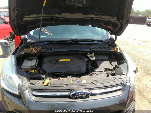 Ford ESCAPE SE 2016 1FMCU0GX8GUA52219 Image 10