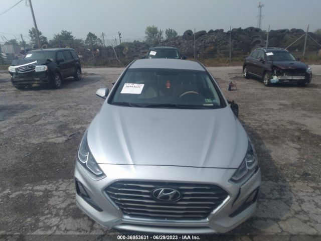 5NPE24AF4JH665093 Hyundai SONATA SE
