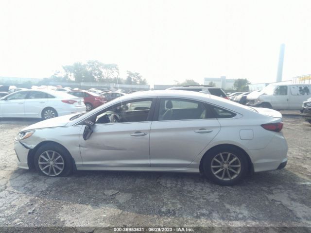 5NPE24AF4JH665093 Hyundai SONATA SE