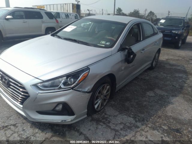 5NPE24AF4JH665093 Hyundai SONATA SE