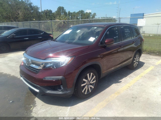 Honda Pilot Ex-l 2019 5FNYF5H55KB045566 Image 2