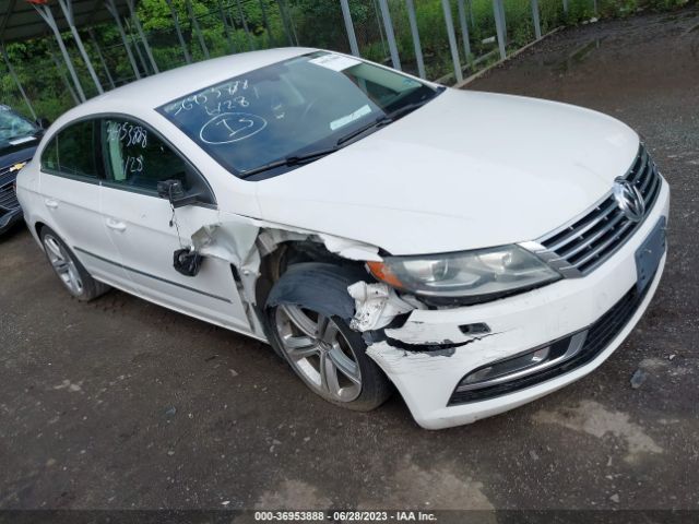 2013 VOLKSWAGEN CC WVWBN7AN3DE519176