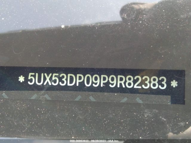 5UX53DP09P9R82383 BMW X3 Xdrive30i