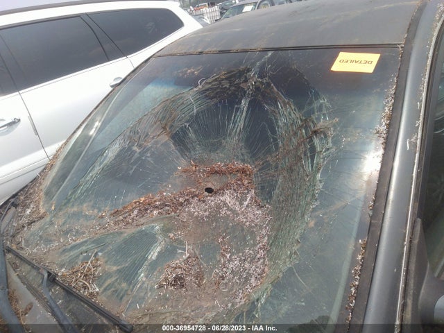 2006 NISSAN ALTIMA 2.5 S VIN: 1N4AL11E26C195754