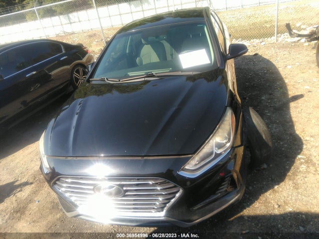 Hyundai SONATA SEL 2018 5NPE34AF6JH636742 Image 12