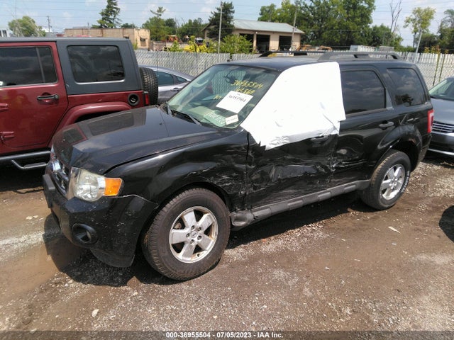 2011 FORD ESCAPE XLT VIN: 1FMCU0D78BKC16836