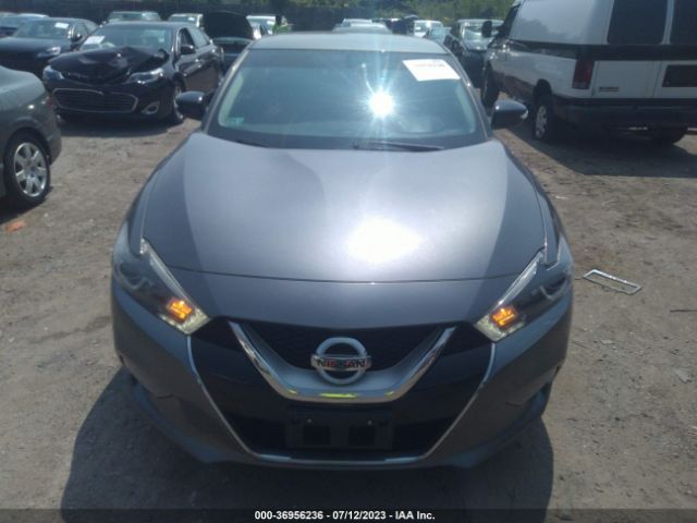 1N4AA6AP7HC413419 Nissan Maxima Sr