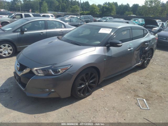 1N4AA6AP7HC413419 Nissan Maxima Sr
