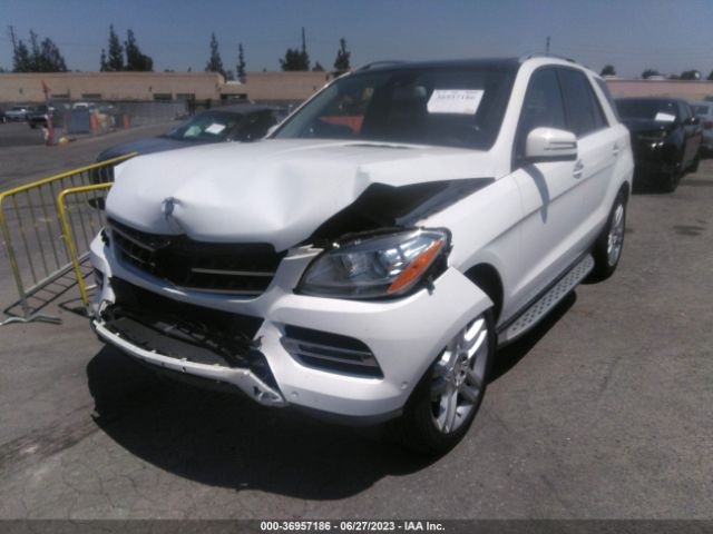 4JGDA5JB6FA483486 Mercedes-Benz M-class Ml 350