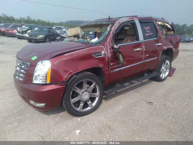 2009 CADILLAC ESCALADE VIN: 1GYFK23259R184111