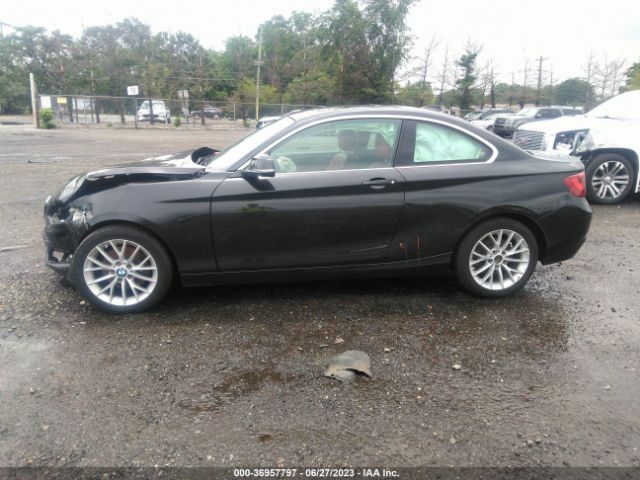 WBA1G9C55GV726345 BMW 2 Series 228i Xdrive