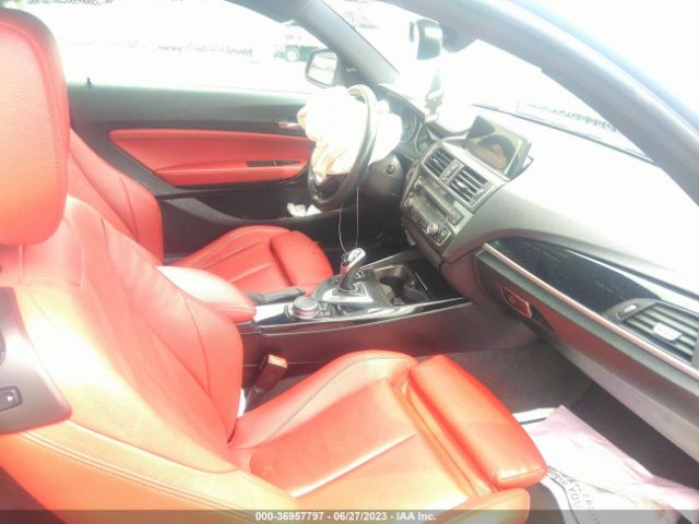 WBA1G9C55GV726345 BMW 2 Series 228i Xdrive