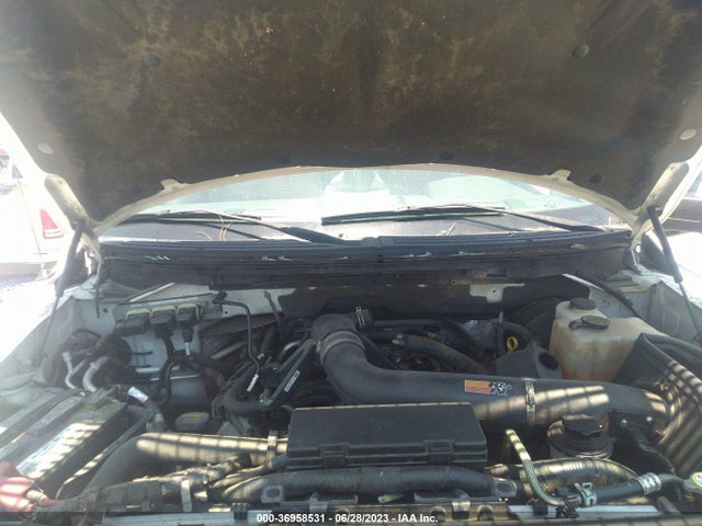 2010 FORD F-150 XL/XLT VIN: 1FTFW1CV2AFA77764