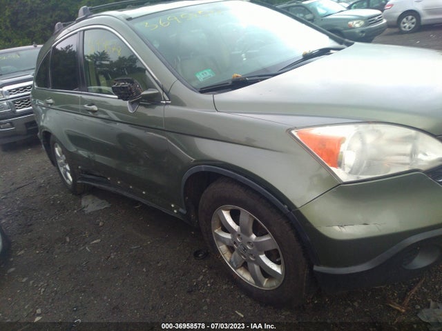 2009 HONDA CR-V EX-L VIN: JHLRE48769C014016