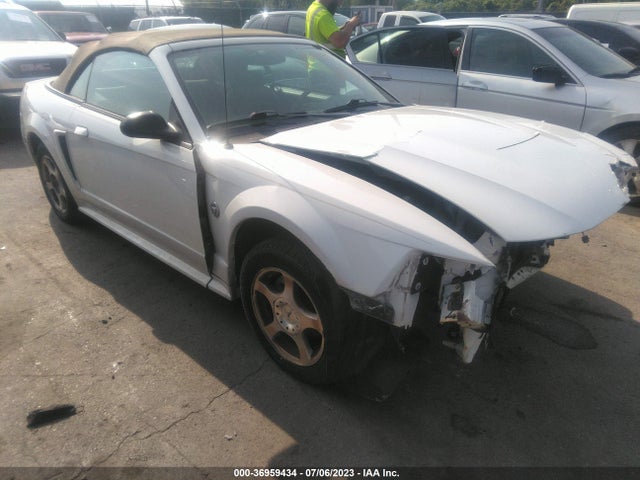 2004 FORD MUSTANG DELUXE/PREMIUM VIN: 1FAFP44604F220890