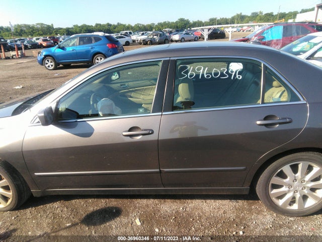 2006 HONDA ACCORD SDN EX-L V6 VIN: 1HGCM66506A070660