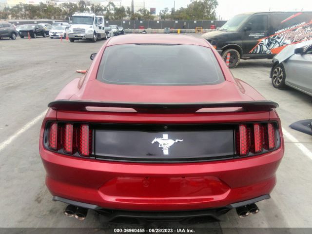 1FA6P8AM8H5203583 Ford Mustang V6