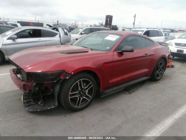 1FA6P8AM8H5203583 Ford Mustang V6