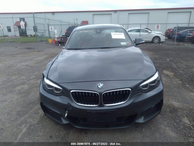 2019 BMW 2 Series, VIN: WBA2J3C55KVD49093