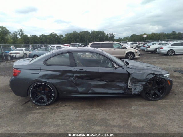 2019 BMW 2 Series, VIN: WBA2J3C55KVD49093