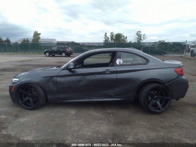 2019 BMW 2 Series, VIN: WBA2J3C55KVD49093