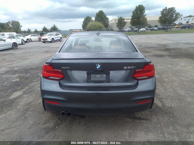 2019 BMW 2 Series, VIN: WBA2J3C55KVD49093