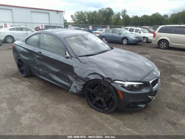 2019 BMW 2 Series, VIN: WBA2J3C55KVD49093