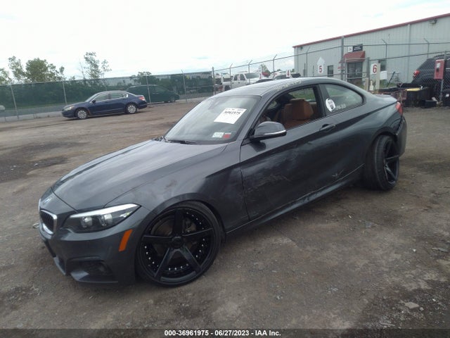 2019 BMW 2 Series, VIN: WBA2J3C55KVD49093