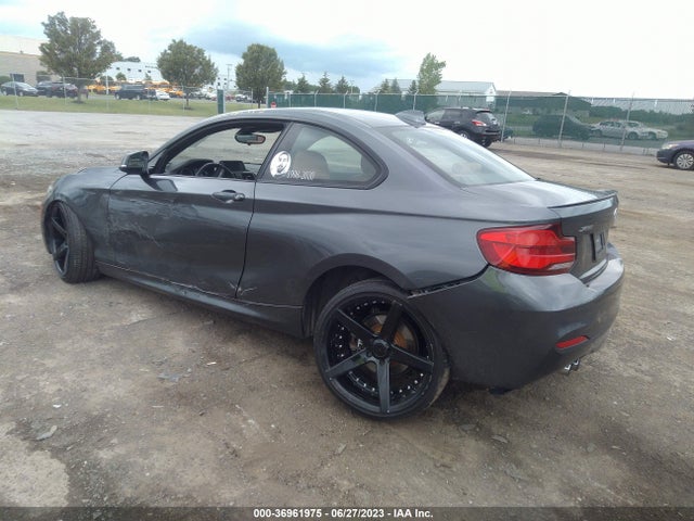 2019 BMW 2 Series, VIN: WBA2J3C55KVD49093