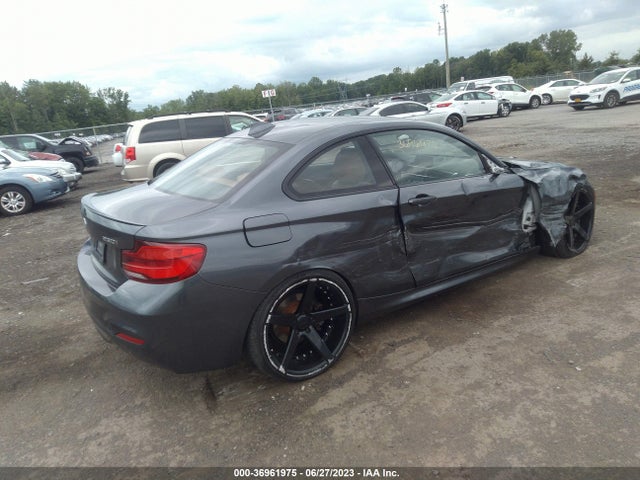 2019 BMW 2 Series, VIN: WBA2J3C55KVD49093